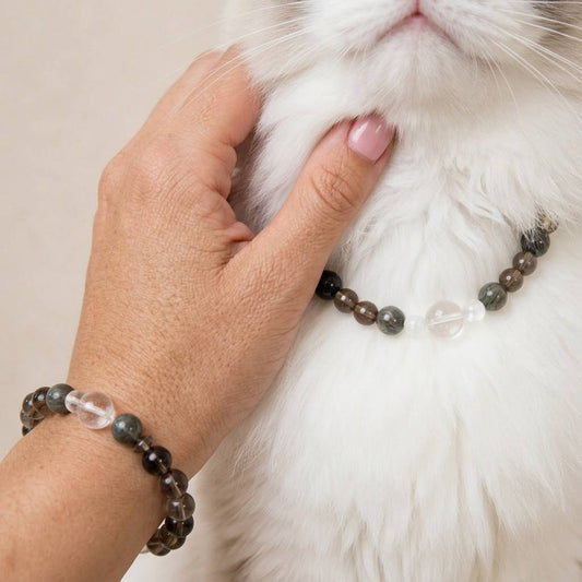 AuraLink™ Feline Guardian Set — Smokey Quartz & Clear Quartz Healing Cat Collar with Owner