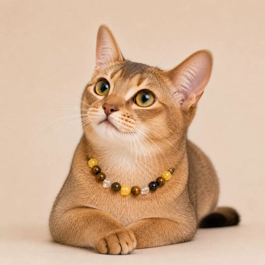 The Signature AuraLink Set — Handcrafted Crystal Leather Collar & Matching Soulmate Bracelet
