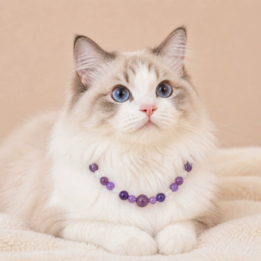 Pet Purple Beaded Necklace