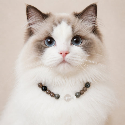 Handcrafted Crystal Healing Collar for Cats