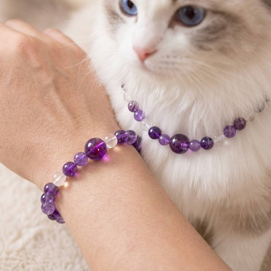 AuraLink™ Serenity Link Set — Deep Amethyst & Clear Quartz Healing Cat Collar with Owner Bracelet